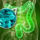 disbiosis-intestinal-01